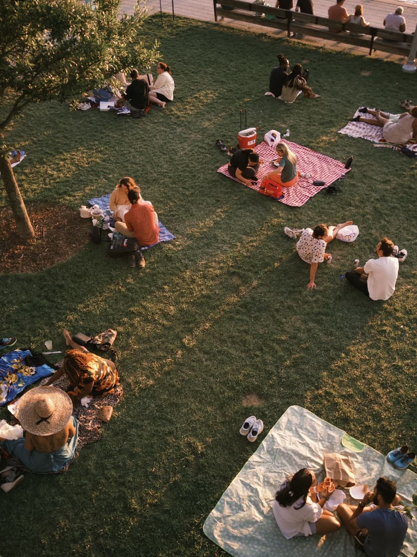 picnic in the park